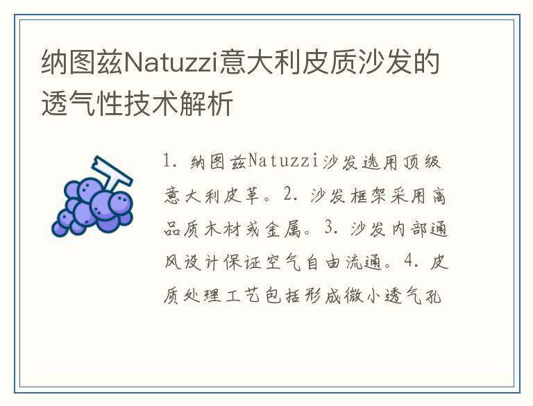 纳图兹Natuzzi意大利皮质沙发的透气性技术解析