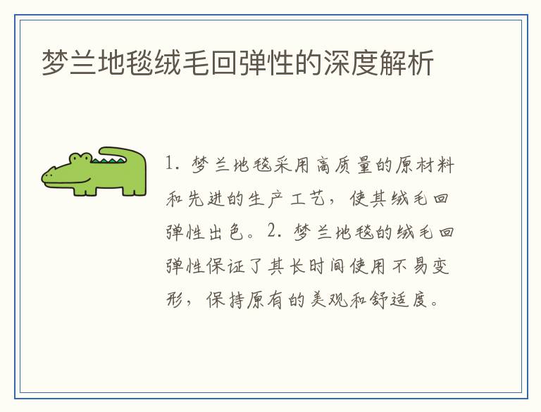 梦兰地毯绒毛回弹性的深度解析