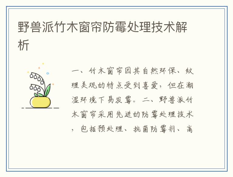 野兽派竹木窗帘防霉处理技术解析
