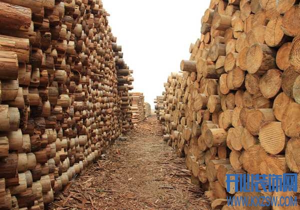 昆明木材市场有吗？昆明木材批发市场位于何处