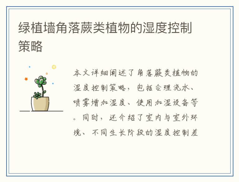 绿植墙角落蕨类植物的湿度控制策略