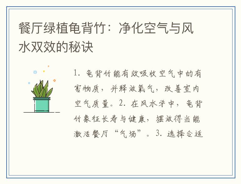 餐厅绿植龟背竹：净化空气与风水双效的秘诀