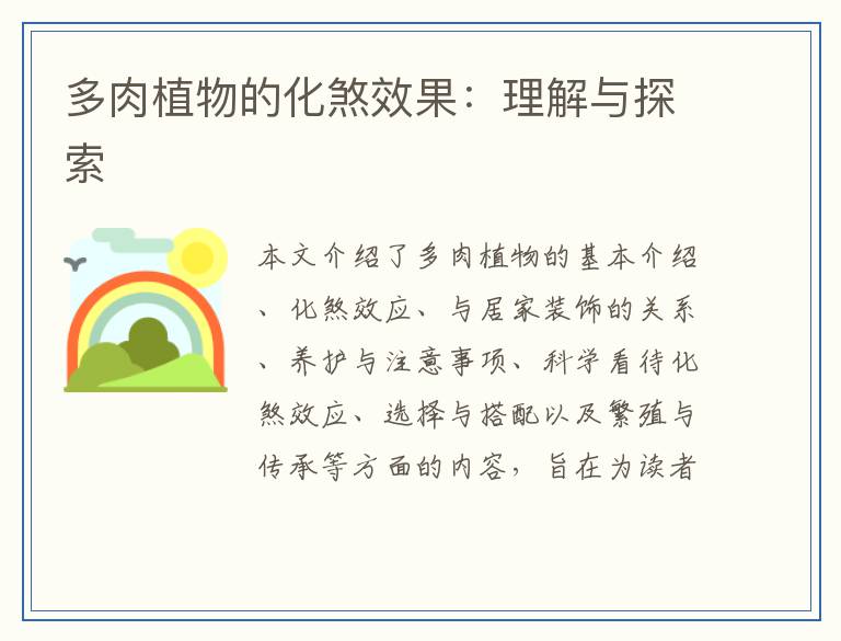 多肉植物的化煞效果：理解与探索