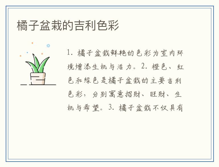 橘子盆栽的吉利色彩