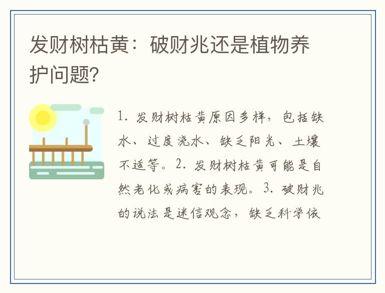 发财树枯黄：破财兆还是植物养护问题？