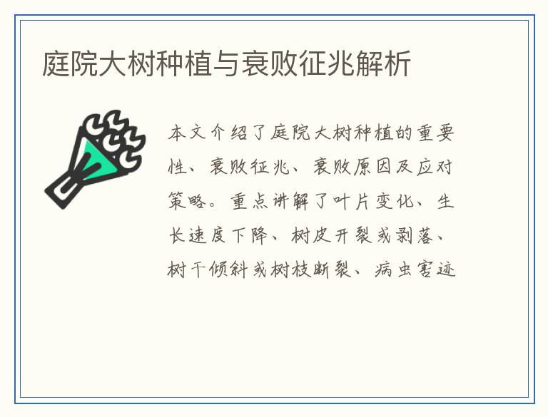 庭院大树种植与衰败征兆解析