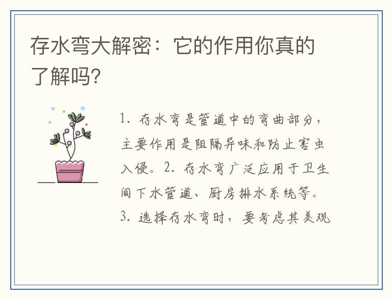 存水弯大解密:它的作用你真的了解吗?