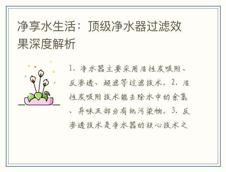 净享水生活：顶级净水器过滤效果深度解析