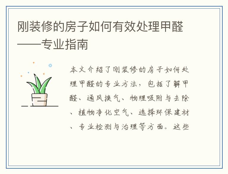 刚装修的房子如何有效处理甲醛——专业指南