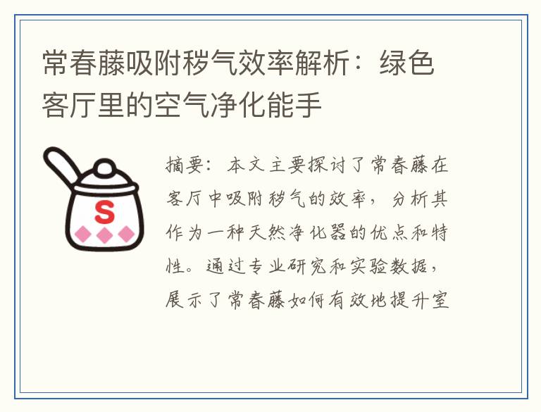 常春藤吸附秽气效率解析：绿色客厅里的空气净化能手