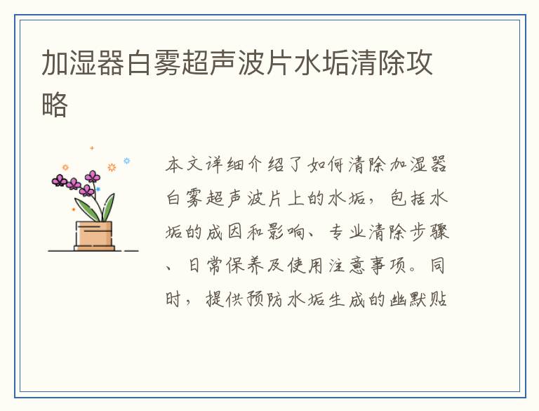 加湿器白雾超声波片水垢清除攻略