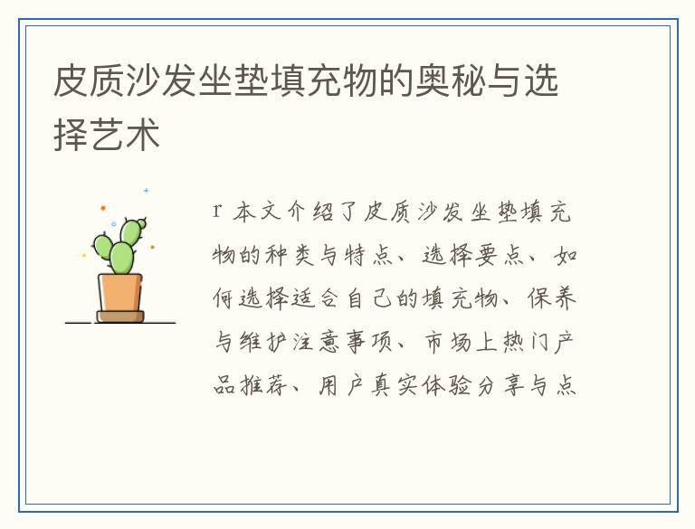 皮质沙发坐垫填充物的奥秘与选择艺术
